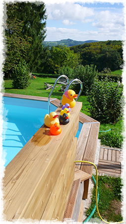 aangenaam zwembad met uitzicht